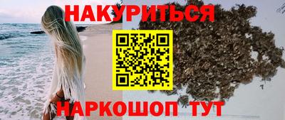 индика Пыть-Ях