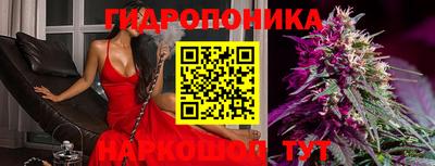 индика Пыть-Ях