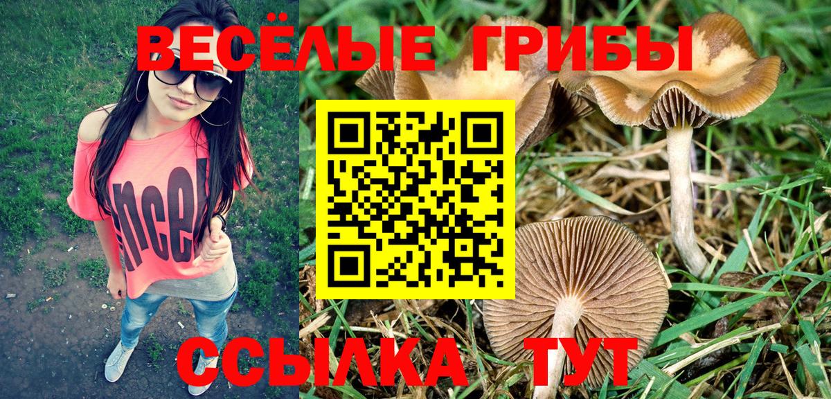 Галлюциногенные грибы Magic Shrooms Самара