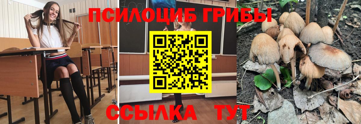 Псилоцибиновые грибы Magic Shrooms  Вход с VPN  Самара 
